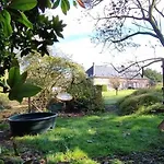 Domaine Des Celestins - Lilas De