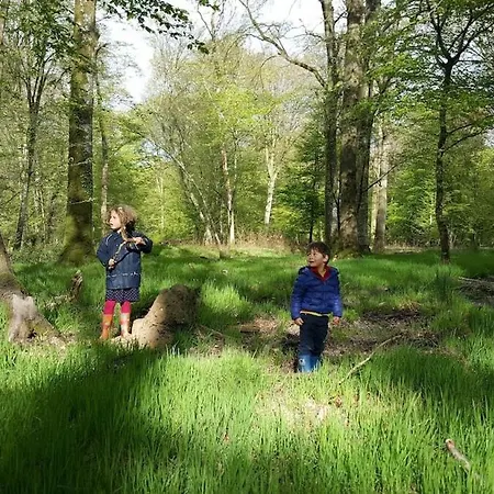 Domaine Des Celestins - Lilas De